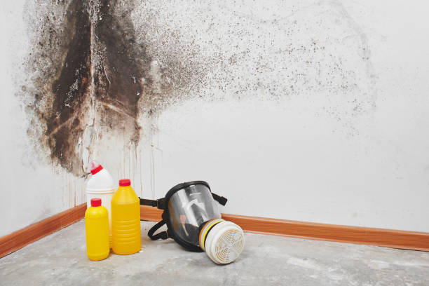 Best Mold Remediation Experts  in Ahtanum, WA