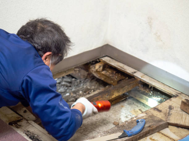 Best Mold Removal and Inspection  in Ahtanum, WA