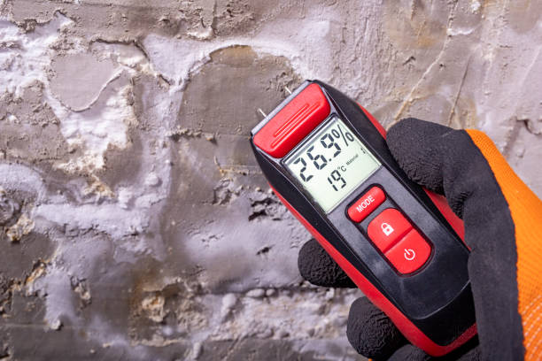 Best Mold Testing  in Ahtanum, WA