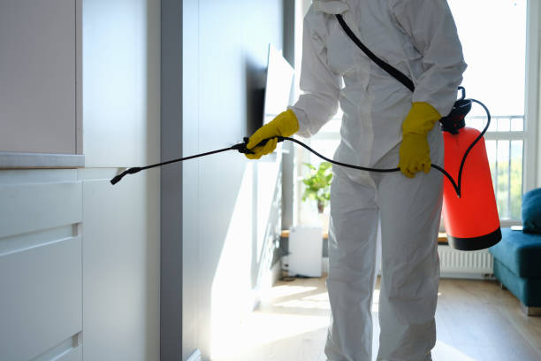 Best Mold Damage Repair  in Ahtanum, WA