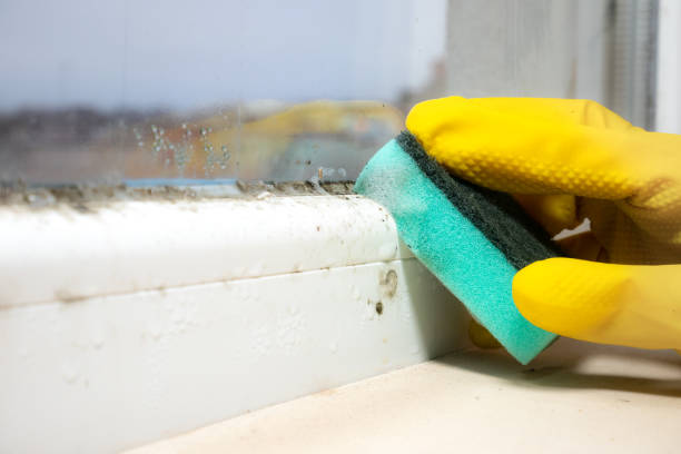 Best Commercial Mold Removal  in Ahtanum, WA